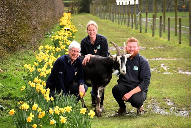 Monk Park Farm, Moor Lane, Bagby. Pictured from the left are Tim Brierley, Hayley Cooke, Jack Wray