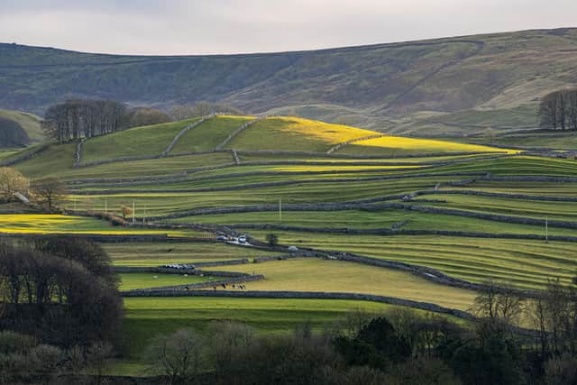 Frenetic buying activity in the Dales may calm down over the next year, which will help locals