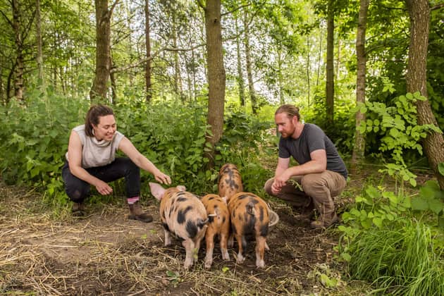 Ben Preston and Laura Kennedy with their pigs at Cliff Bank Nursery. Picture: Ernesto Rogata.