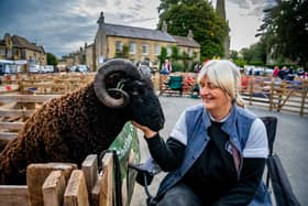 Masham Sheep Fair. Pictured Judy Preston, of Doncaster, has a very close bond with one of her Shetland Sheep called Peanut. Image: James Hardisty