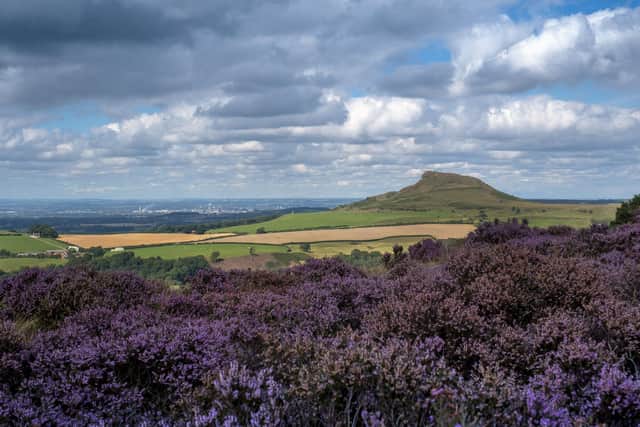 A full meeting of North Yorkshire County Council saw a North Yorkshire Climate Coalition, which includes 18 environmental groups based from Selby to Stokesley, calling on the authority to move “further and faster” over environmental issues, and drop party politics to introduce measures more rapidly.