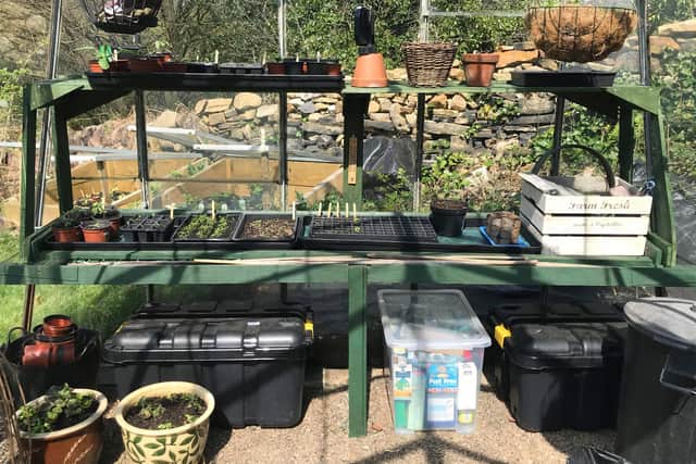 Allotment requests across Yorkshire have been up, while garden centres have reported a huge demand for grow-at-home products.