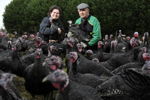 Turkey Farmers John Wright Jnr and John Wright Senior with some of their free range turkeys at Holmes Farm, Wyton, Hull. Pic taken 30 November 2015