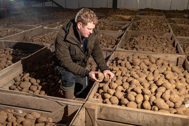 Bradley Sykes of Hag Bush Farm in his potato store near Goole.