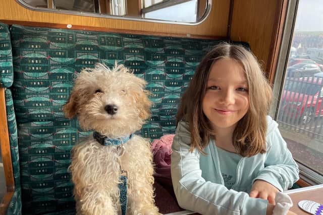 Toy Poodle Jet and Jasmine Hale on board the North Yorkshire Moors Railway