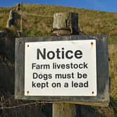 Police and rural insurers have expressed concern over the cost of dog attacks on sheep in Yorkshire and the North East.