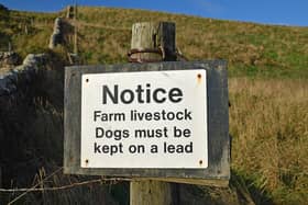 Police and rural insurers have expressed concern over the cost of dog attacks on sheep in Yorkshire and the North East.