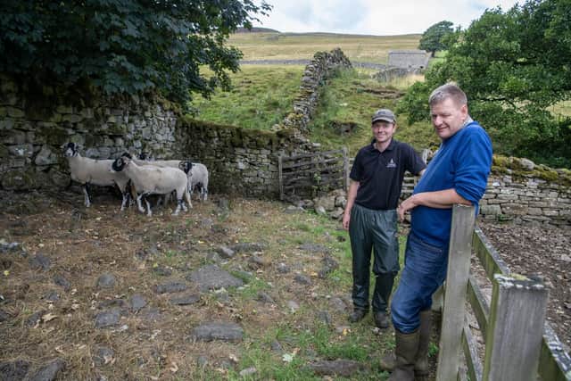 Steven Porter with his son Will with Swaledales they will be showing at Muker this year.