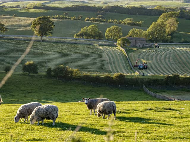 'The countryside is a busy working environment – farms are places of work'. PIC: Tony Johnson