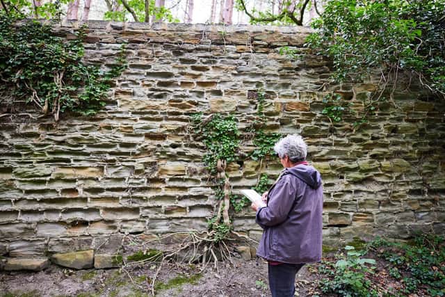 Helen Riddle's exhibition A Stitch in Time, which is running at Anglers Country Park. It explores decay and repair in the wall which Charles Waterton built nearly 200 years ago, creating what is believed to be the world's first nature reserve. A photograph of Helen visiting the wall by photographer David Lindsay