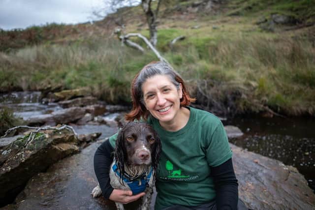 Conservation detection dog handler Rachel Cripps and English springer spaniel Reid  in action on their vital water vole detection mission in the North York Moors National Park