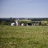 From next year, the milk price that the individual Arla farmer will receive from the dairy cooperative will depend on their activities related to environmental sustainability.