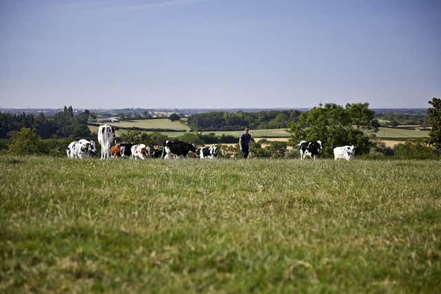 From next year, the milk price that the individual Arla farmer will receive from the dairy cooperative will depend on their activities related to environmental sustainability.