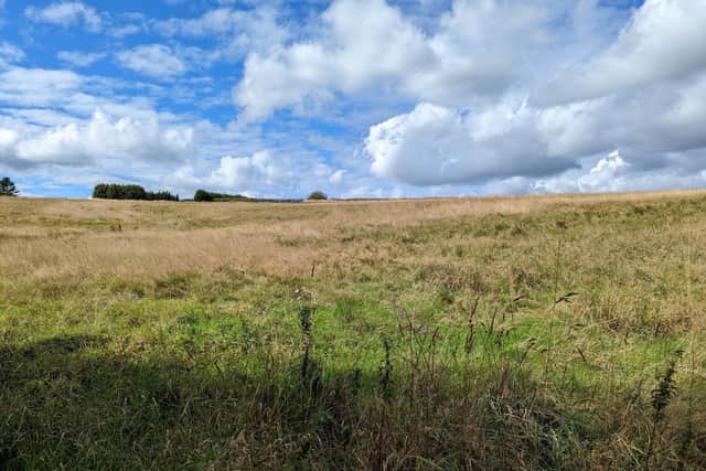 The site of a proposed Amazon warehouse in Scholes, near Cleckheaton