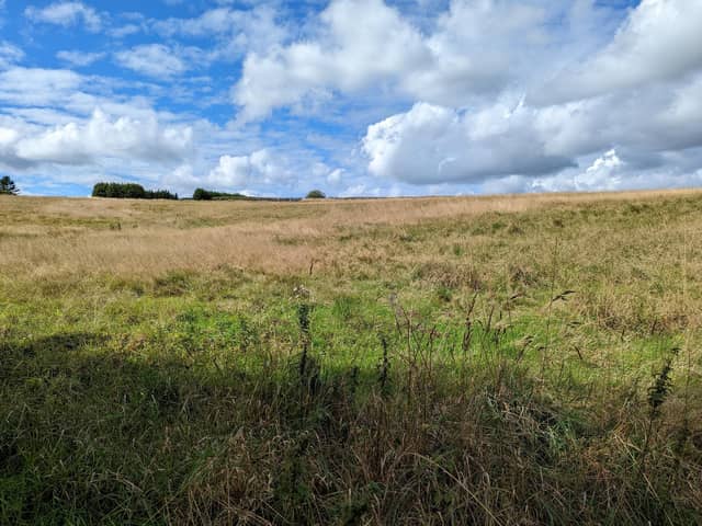 The site of a proposed Amazon warehouse in Scholes, near Cleckheaton