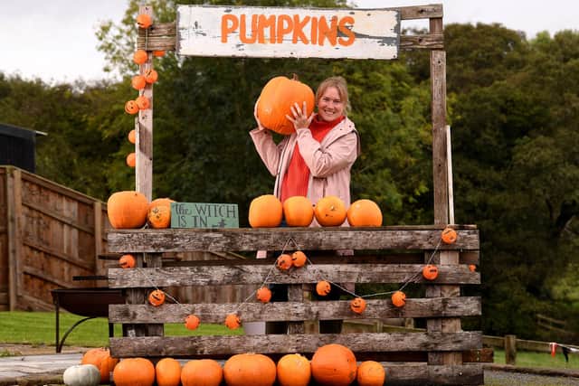 Sarah Foster has gone from London mum to running a pumpkin growing operation