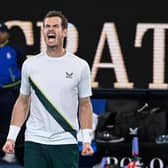 Britain's Andy Murray celebrates after victory against Australia's Thanasi Kokkinakis during their men's singles match on day four of the Australian Open (Picture: WILLIAM WEST/AFP via Getty Images)