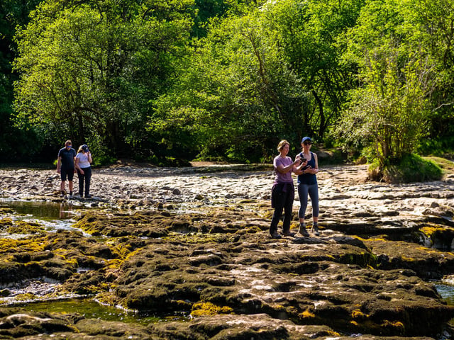 Aysgarth Falls, a tourist spot for over 200 years, shows the growing impact of climate conditions on the UK's landscapes and livelihoods. Picture: James Hardisty.