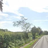 Thirsk Road, Easingwold, where a proposal for 50 pitch touring caravan park has been tabled Picture: Google