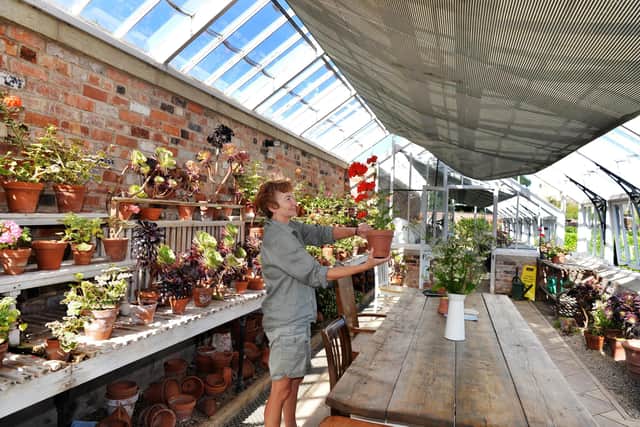 Assistant Garden Manager Tricia Harris pictured in the orchid house during appeal to raise restoration funds.