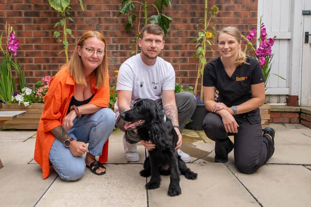 Roman, with his owners Danielle and Kevin Shaw, and Haven Vets' Jordan Sinclair who saved his life. Photo: Haven Vets