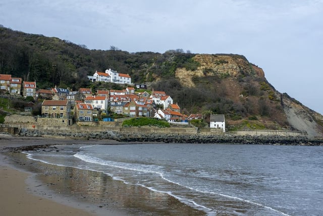 Dog owners can bring their pets along to Runswick Bay, however, they should look out for possible signs requesting they keep their dogs on leads.