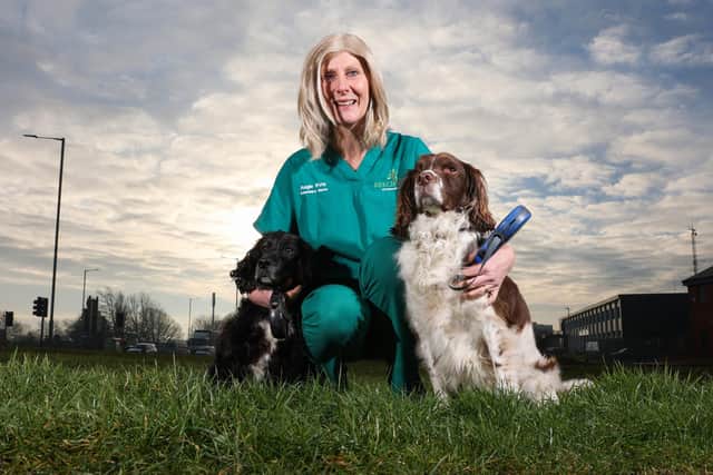 Beechwood Vets' Angie Shaw, who is now clear of cancer, enjoying a walk with her dogs. Photo: Chris Booth/Beechwood Vets