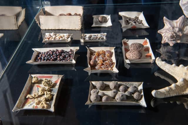 A cabinet of curiosities with artifacts on trays made of playing cards featuring in the exhibition The Curiosity Garden. Photograph by Tony Johnson.