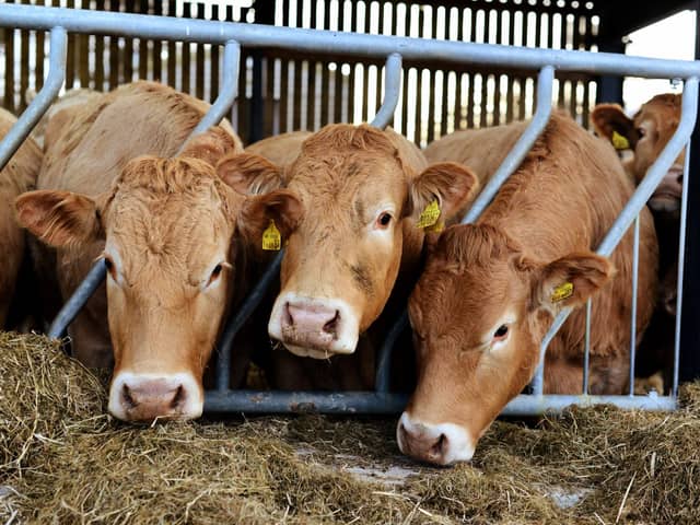 The Government has confirmed it plans to introduce funding to promote enhanced productivity, innovation and improved animal health and welfare in smaller abattoirs.