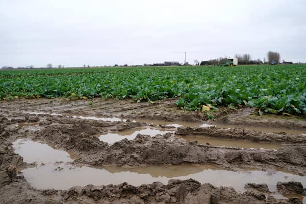 Farmer confidence in England and Wales has collapsed to an all-time low with more than four-fifths saying they have been negatively affected by months of wet weather.