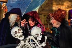 Mother Shipton’s Cave in Knaresborough offers visitors a Hocus Pocus-themed event at the birthplace of a real witch