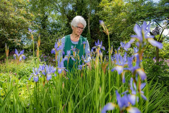 Vanessa Cook is a pioneer of organic and wildlife gardening and still opens her gardens to the public. Picture: Tony Johnson.