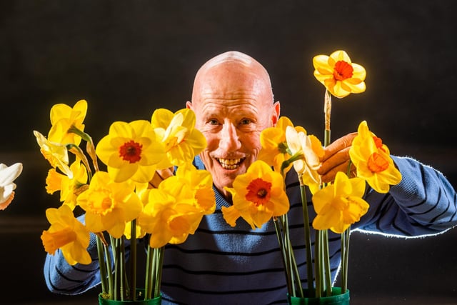 Richard Gillings, from Berkshire, with a few of his flowering  Daffodils. Picture By Yorkshire Post Photographer,  James Hardisty.