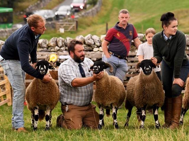 Malham Show 2026