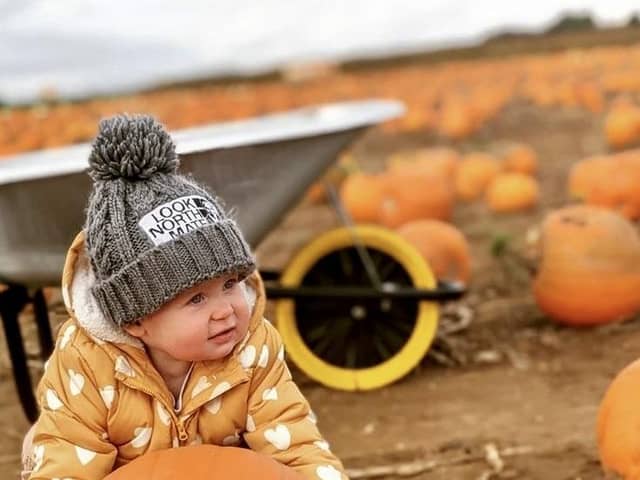 With autumn now firmly here, the award-winning William’s Den family tourist attraction in East Yorkshire is launching its stunning Pumpkin Experience. William's Pumpkin Experience showcases 20,000 of the county’s finest pumpkins, flourishing against the panoramic backdrop of the Yorkshire Wolds