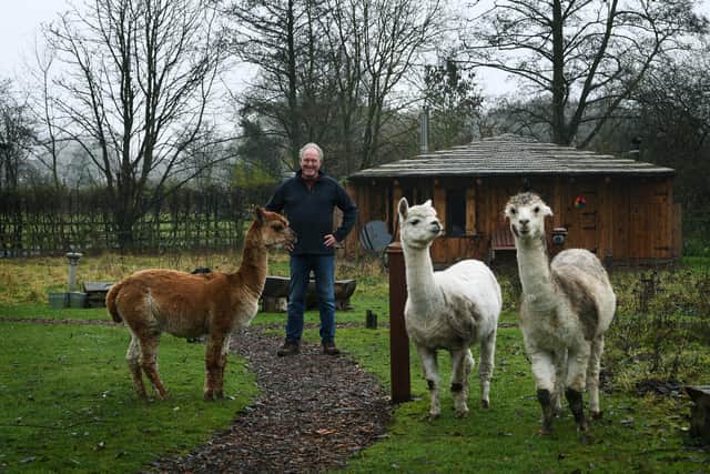 Andrew Coe pictured at glamping site Acorn Glade, Melbourne, near York, with his Alpacas.
12th December 2023.
Picture Jonathan Gawthorpe