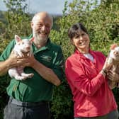 Stephen and Karen Thompson with piglets at Moss Valley Fine Meats in Norton, Sheffield