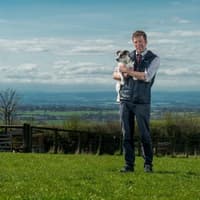 The Yorkshire Vet: A tale of two curious Cod Beck cattle - Julian Norton
