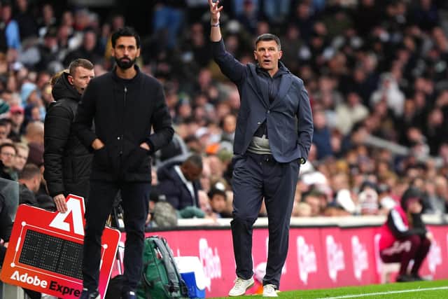 TOUGH DAY AT THE OFFICE: Hull City manager Sergej Jakirovic (right) shows his frustration in the 1-0 defeat against Fulham at Craven Cottage. Picture: Bradley Collyer/PA.