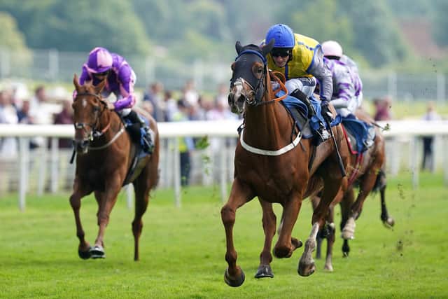 Winning score: Paul Mulrennan has ridden 105 winners this season - including 90 in the Cock O' The North competition which encompasses the 16 Flat tracks of northern England and Scotland. (Getty Images)