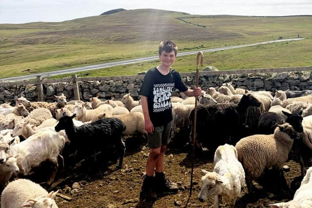 Katy Phenix, 33, her partner Josh Moore, 35, children, Hetty, 6, and Teddy, 11, moved to Fair Isle, Scotland, along with three dogs, and four cats.