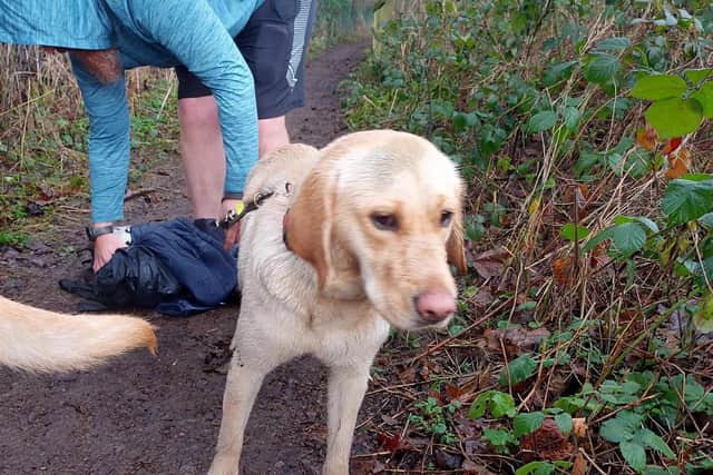 The woman fell into the River Calder trying to rescue the dog