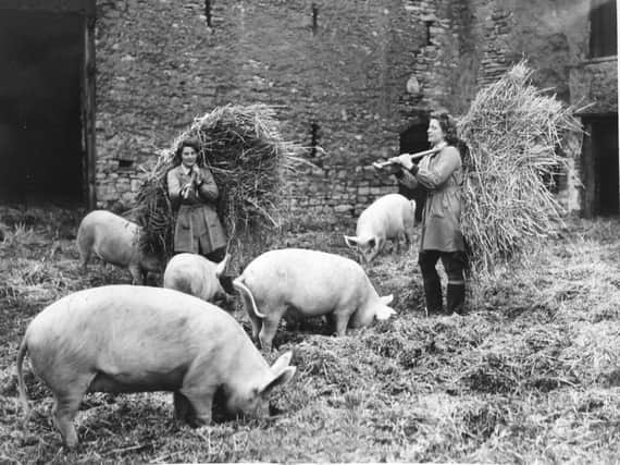 Mucking in at a farm near Askham, 1944.