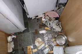 Pets starve to death in Yorkshire home with cat found dead in sink as owner banned indefinitely