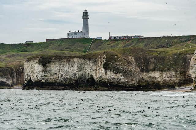 Flamborough Head. (Pic credit: James Hardisty)