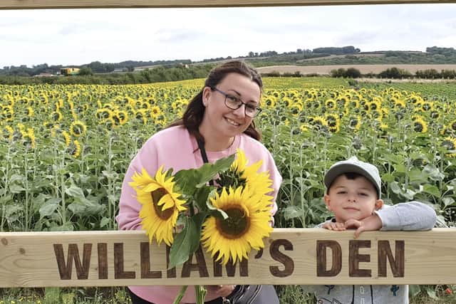With the sunflower season now reaching its height, the award-winning William’s Den family tourist attraction in East Yorkshire is launching its stunning Sunflower Experience.