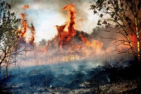 Firefighters struggled to control a wildfire which broke out on Sheffield's Manor Fields Park on August 13, 2026