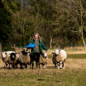 Helen McGloughlin, joint owner of The Ark Smallholding with their small flock of sheep. Picture By Yorkshire Post Photographer,  James Hardisty. Date:7th February 2023.