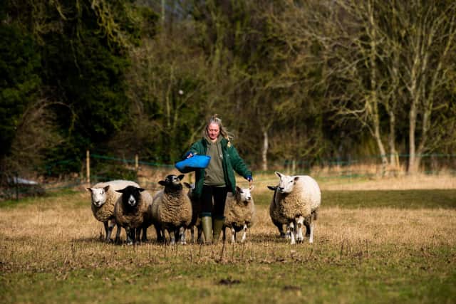 Helen McGloughlin, joint owner of The Ark Smallholding with their small flock of sheep. Picture By Yorkshire Post Photographer,  James Hardisty. Date:7th February 2023.