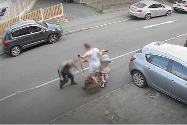 Video shows a woman protect her baby and pet from an attack by a Staffy on Richmond Road, Sheffield. Picture taken from a South Yorkshire Police video